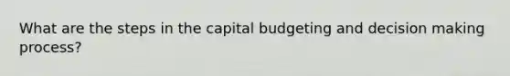 What are the steps in the capital budgeting and decision making process?