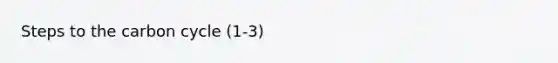 Steps to the carbon cycle (1-3)