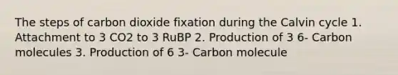 The steps of carbon dioxide fixation during the Calvin cycle 1. Attachment to 3 CO2 to 3 RuBP 2. Production of 3 6- Carbon molecules 3. Production of 6 3- Carbon molecule