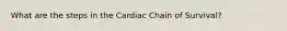 What are the steps in the Cardiac Chain of Survival?
