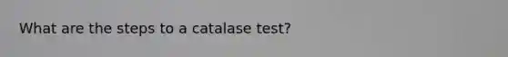 What are the steps to a catalase test?