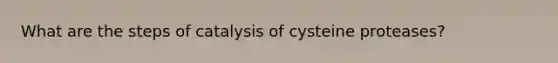 What are the steps of catalysis of cysteine proteases?