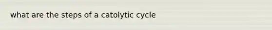 what are the steps of a catolytic cycle