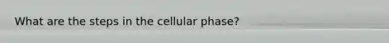 What are the steps in the cellular phase?