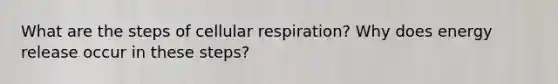 What are the steps of cellular respiration? Why does energy release occur in these steps?