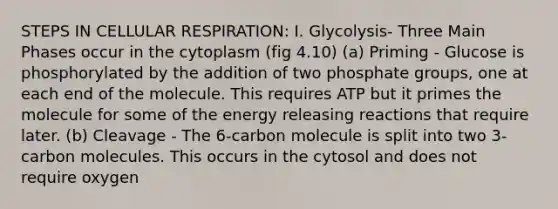 STEPS IN CELLULAR RESPIRATION: I. Glycolysis- Three Main Phases occur in the cytoplasm (fig 4.10) (a) Priming - Glucose is phosphorylated by the addition of two phosphate groups, one at each end of the molecule. This requires ATP but it primes the molecule for some of the energy releasing reactions that require later. (b) Cleavage - The 6-carbon molecule is split into two 3-carbon molecules. This occurs in the cytosol and does not require oxygen