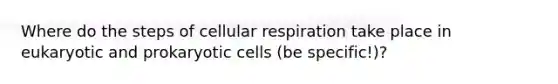 Where do the steps of cellular respiration take place in eukaryotic and prokaryotic cells (be specific!)?