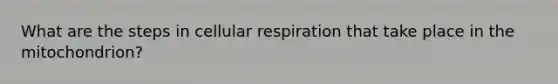 What are the steps in cellular respiration that take place in the mitochondrion?