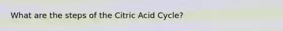 What are the steps of the Citric Acid Cycle?