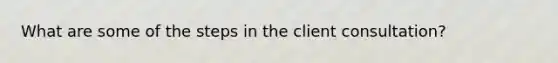 What are some of the steps in the client consultation?