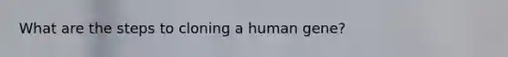 What are the steps to cloning a human gene?