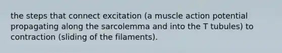 the steps that connect excitation (a muscle action potential propagating along the sarcolemma and into the T tubules) to contraction (sliding of the filaments).