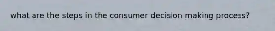 what are the steps in the consumer decision making process?