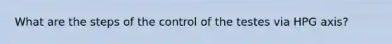 What are the steps of the control of the testes via HPG axis?