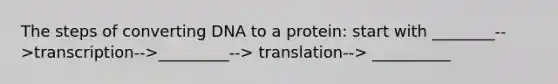 The steps of converting DNA to a protein: start with ________-->transcription-->_________--> translation--> __________