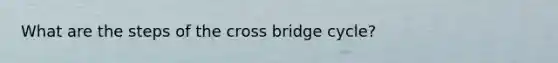 What are the steps of the cross bridge cycle?