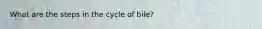 What are the steps in the cycle of bile?