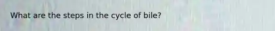 What are the steps in the cycle of bile?