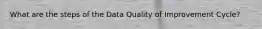 What are the steps of the Data Quality of Improvement Cycle?