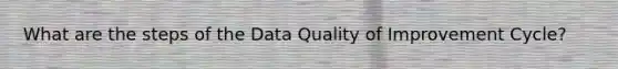 What are the steps of the Data Quality of Improvement Cycle?