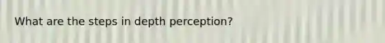 What are the steps in depth perception?