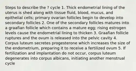 Steps to describe the ? cycle 1. Thick endometrial lining of the uterus is shed along with tissue fluid, blood, mucus, and epithelial cells; primary ovarian follicles begin to develop into secondary follicles 2. One of the secondary follicles matures into a graafian follicle which contains a mature egg; rising estrogen levels cause the endometrial lining to thicken 3. Graafian follicle ruptures and the ovum is released into the pelvic cavity 4. Corpus luteum secretes progesterone which increases the size of the endometrium, preparing it to receive a fertilized ovum 5. If fertilization and implantation do not occur, corpus luteum degenerates into corpus albicans, initiating another menstrual cycle