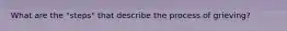 What are the "steps" that describe the process of grieving?