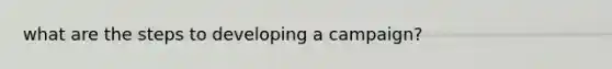 what are the steps to developing a campaign?