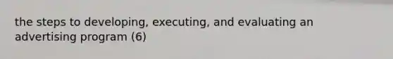 the steps to developing, executing, and evaluating an advertising program (6)