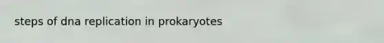 steps of <a href='https://www.questionai.com/knowledge/kofV2VQU2J-dna-replication' class='anchor-knowledge'>dna replication</a> in prokaryotes