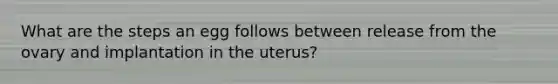 What are the steps an egg follows between release from the ovary and implantation in the uterus?