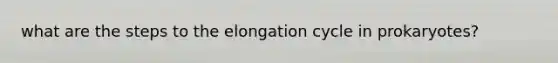 what are the steps to the elongation cycle in prokaryotes?