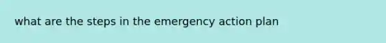 what are the steps in the emergency action plan