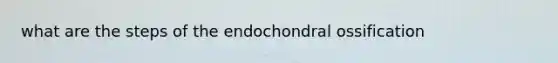 what are the steps of the endochondral ossification