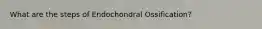 What are the steps of Endochondral Ossification?