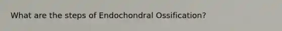 What are the steps of Endochondral Ossification?