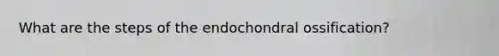 What are the steps of the endochondral ossification?