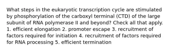 What steps in the eukaryotic transcription cycle are stimulated by phosphorylation of the carboxyl terminal (CTD) of the large subunit of RNA polymerase II and beyond? Check all that apply. 1. efficient elongation 2. promoter escape 3. recruitment of factors required for initiation 4. recruitment of factors required for RNA processing 5. efficient termination