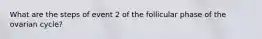 What are the steps of event 2 of the follicular phase of the ovarian cycle?