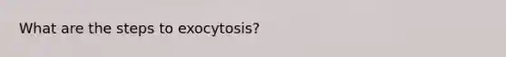 What are the steps to exocytosis?