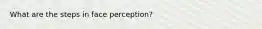 What are the steps in face perception?
