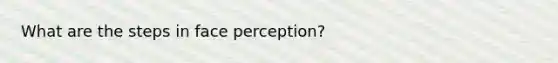 What are the steps in face perception?