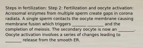 Steps in fertilization: Step 2: Fertilization and oocyte activation: Acrosomal enzymes from multiple sperm create gaps in corona radiata. A single sperm contacts the oocyte membrane causing membrane fusion which triggers _______ ________ and the completion of meiosis. The secondary oocyte is now an ________. Oocyte activation involves a series of changes leading to ________ release from the smooth ER.