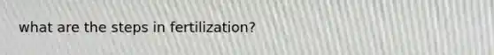 what are the steps in fertilization?