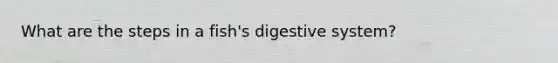 What are the steps in a fish's digestive system?