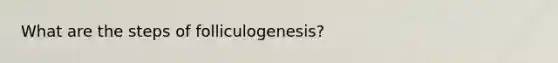 What are the steps of folliculogenesis?