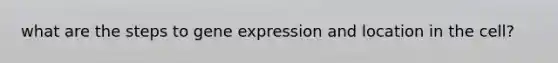 what are the steps to gene expression and location in the cell?