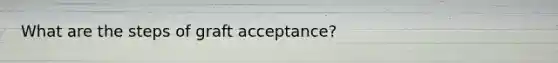 What are the steps of graft acceptance?