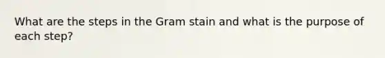 What are the steps in the Gram stain and what is the purpose of each step?