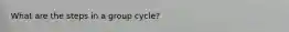 What are the steps in a group cycle?
